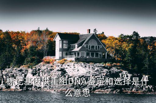 標(biāo)記基因供重組DNA鑒定和選擇是什么意思