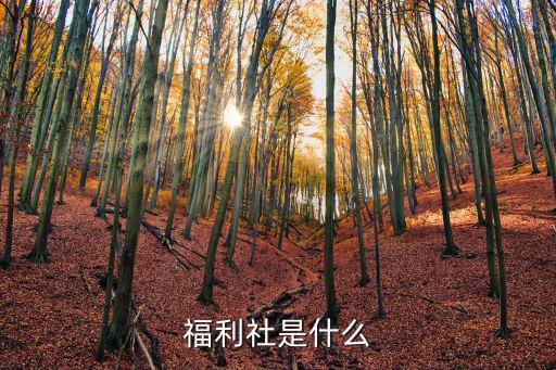福利社是什么