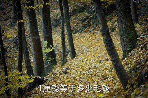 1厘錢等于多少毛錢