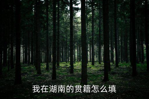 湖南籍貫怎么填寫，我在湖南的籍貫怎么填