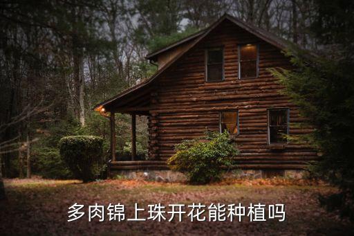 錦上珠，多肉錦上珠開花能種植嗎