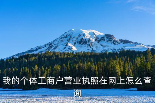 電子營(yíng)業(yè)執(zhí)照查詢(xún)系統(tǒng)，請(qǐng)問(wèn)網(wǎng)上怎么查詢(xún) 營(yíng)業(yè)執(zhí)照啊  知道注冊(cè)號(hào)