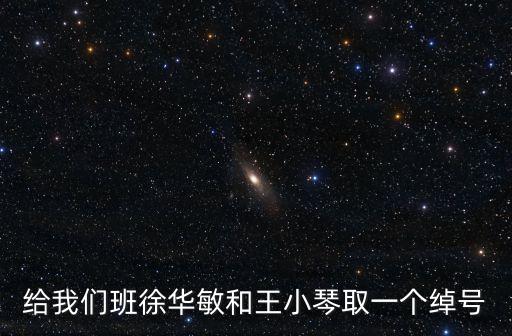 王小琴，給我們班徐華敏和王小琴取一個(gè)綽號(hào)