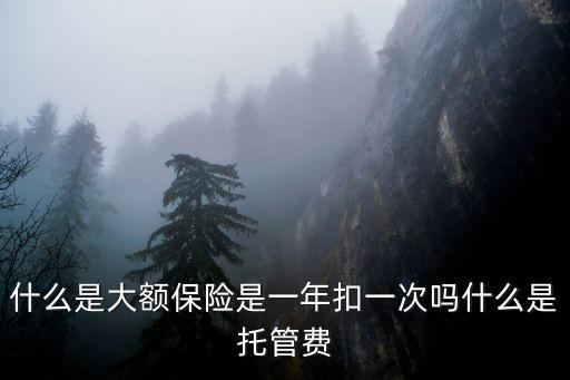 什么是大額保險(xiǎn)是一年扣一次嗎什么是托管費(fèi)