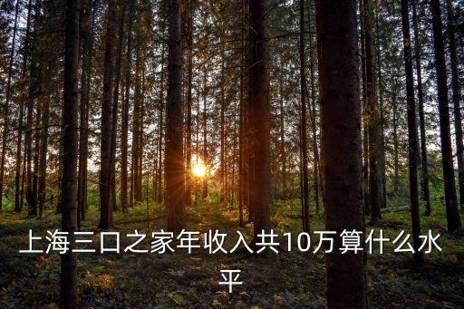 上海三口之家年收入共10萬算什么水平