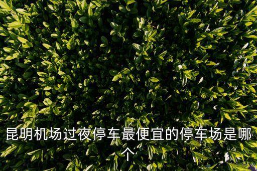 停車(chē)場(chǎng)，停車(chē)場(chǎng) 的英語(yǔ)