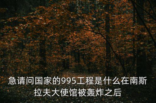 急請(qǐng)問國家的995工程是什么在南斯拉夫大使館被轟炸之后