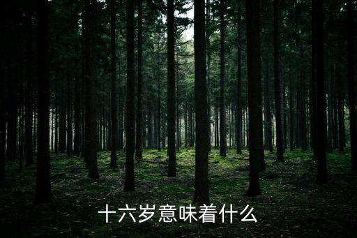 十六歲，十六歲意味著什么