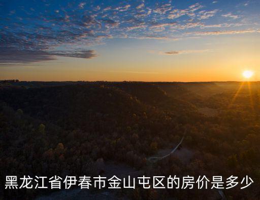 金山屯區(qū)，黑龍江省伊春市金山屯區(qū)的房?jī)r(jià)是多少
