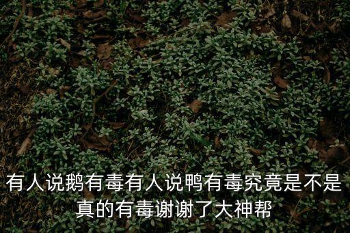 為什么說番鴨有毒，西洋鴨別人說毒為什么