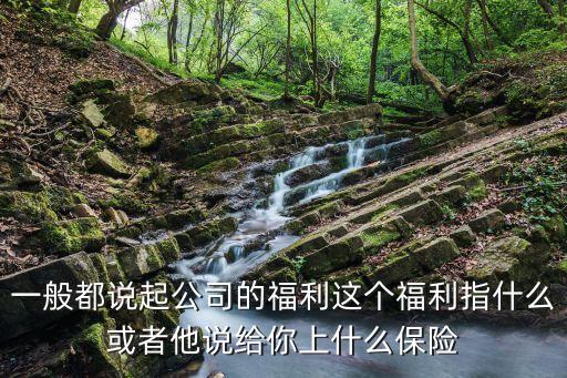 一般都說起公司的福利這個福利指什么或者他說給你上什么保險