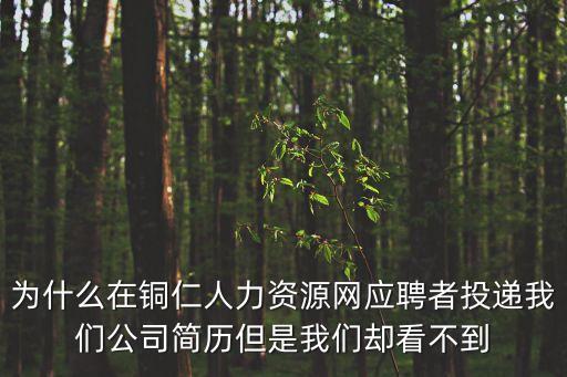 為什么在銅仁人力資源網(wǎng)應(yīng)聘者投遞我們公司簡歷但是我們卻看不到