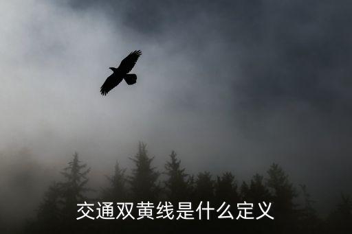雙黃線，交通雙黃線是什么定義