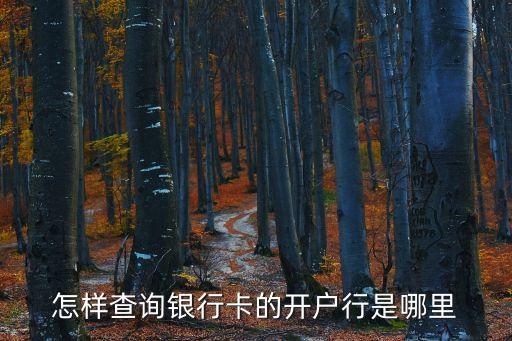 銀行卡開戶行查詢，怎樣查詢銀行卡的開戶行是哪里