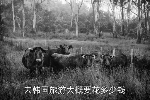 去韓國旅游要多少錢，去韓國旅游大概要花多少錢