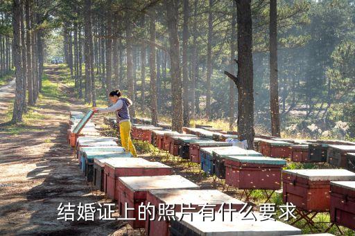 結(jié)婚登記照片要求，請(qǐng)問(wèn)結(jié)婚證照片有什么要求嗎
