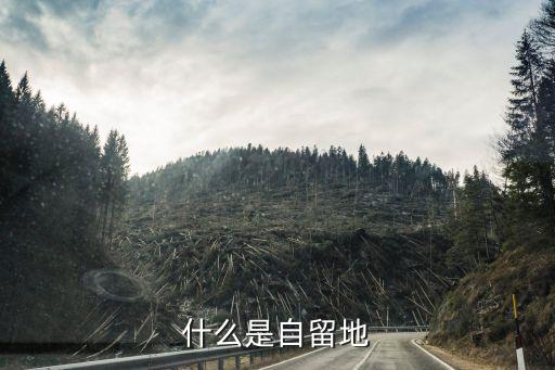 自留地，何為自留地國有土地指的是哪里