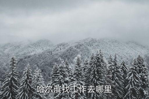 哈爾濱就業(yè)地圖，哈爾濱人人才市場都在哪