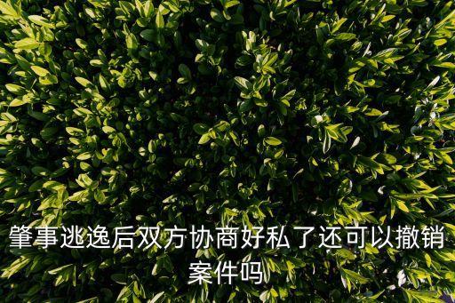 肇事逃逸后雙方協(xié)商好私了還可以撤銷案件嗎
