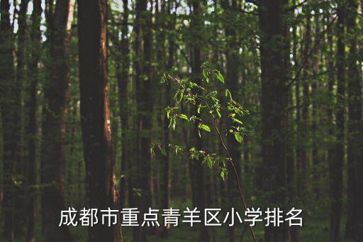成都市重點(diǎn)青羊區(qū)小學(xué)排名
