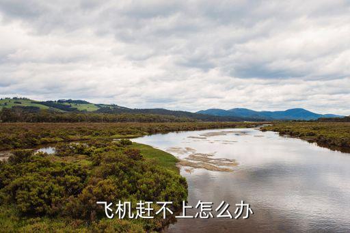 飛機(jī)沒(méi)趕上怎么辦，飛機(jī)航班沒(méi)趕上怎么辦