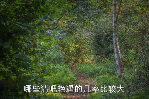 哪些清吧艷遇的幾率比較大