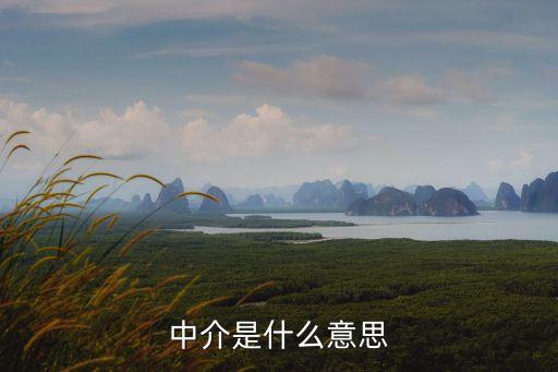 中介是什么意思