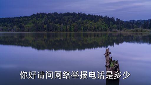 你好請問網(wǎng)絡舉報電話是多少