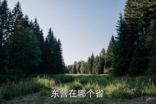 東營在哪個省