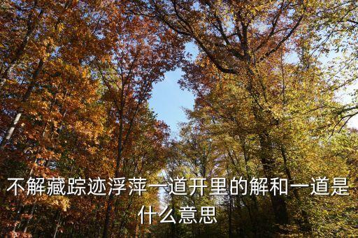 不解藏蹤跡浮萍一道開里的解和一道是什么意思