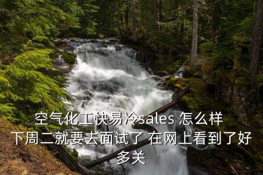 空氣化工快易冷sales 怎么樣 下周二就要去面試了 在網(wǎng)上看到了好多關(guān)