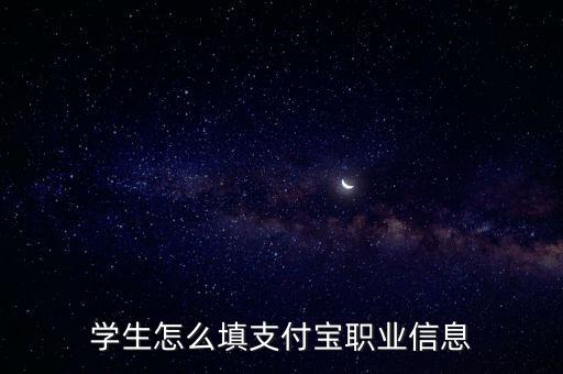 學(xué)生怎么填支付寶職業(yè)信息
