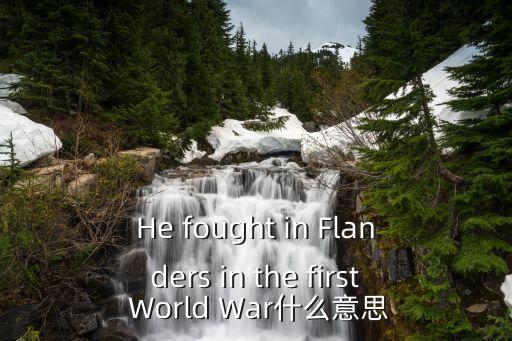 He fought in Flanders in the first World War什么意思