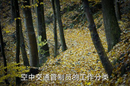 空中交通管制員的工作分類