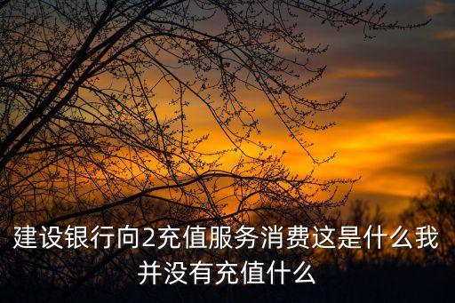 建設(shè)銀行向2充值服務(wù)消費(fèi)這是什么我并沒有充值什么