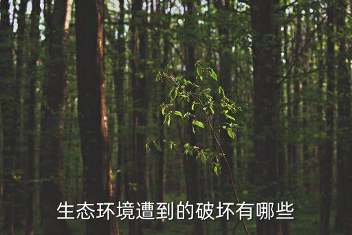 生態(tài)環(huán)境遭到的破壞有哪些