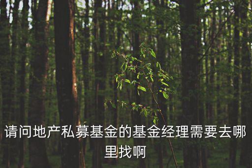 請問地產(chǎn)私募基金的基金經(jīng)理需要去哪里找啊