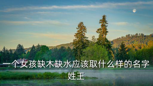 一個女孩缺木缺水應(yīng)該取什么樣的名字姓王