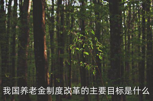 養(yǎng)老保險制度改革，我國養(yǎng)老金制度改革的主要目標(biāo)是什么