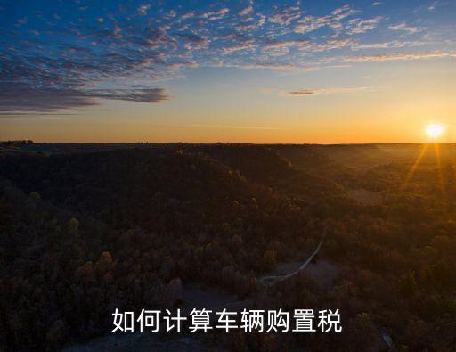 如何計算車輛購置稅