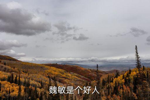 魏敏是個(gè)好人