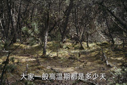 高溫期，大家一般高溫期都是多少天