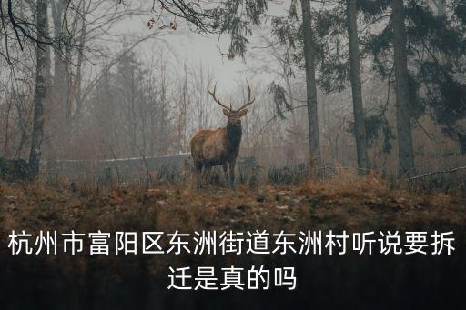 杭州市富陽(yáng)區(qū)東洲街道東洲村聽(tīng)說(shuō)要拆遷是真的嗎