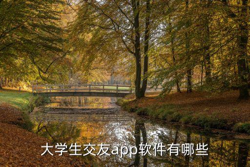 賣淫軟件，有哪個(gè)手機(jī)軟件可以放黃