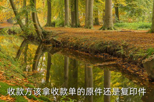 收款方該拿收款單的原件還是復(fù)印件