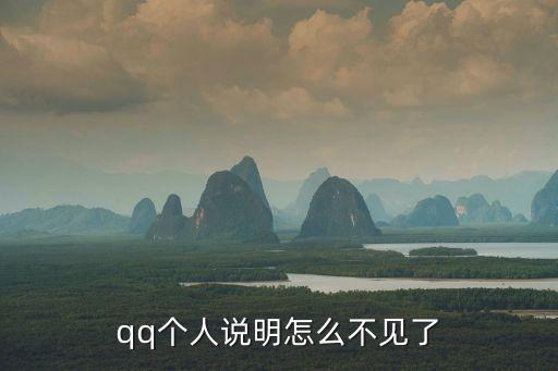 個人說明，qq個人說明怎么不見了
