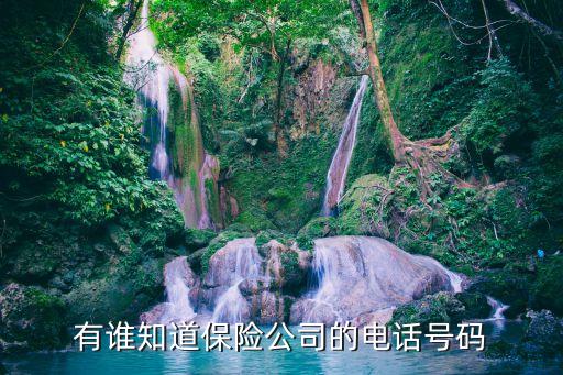 保險咨詢電話，95500和95511是什么電話