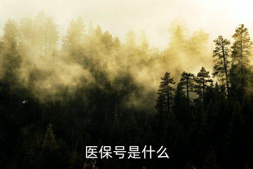 醫(yī)保卡號是哪個，社會保障卡上哪個號是醫(yī)?？ㄌ?/></a></span><span id=