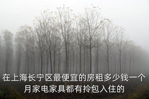 上海長(zhǎng)寧區(qū)租房，在上海長(zhǎng)寧區(qū)最便宜的房租多少錢一個(gè)月家電家具都有拎包入住的