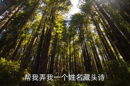 劉亞超，急需一首藏頭詩劉亞超我愛你